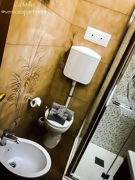 Ca' Milla Διαμέρισμα Βενετία