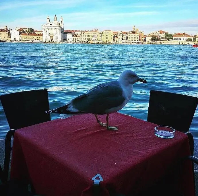 Ca' Milla Apartment Venice